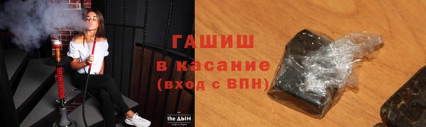 гашик Вяземский